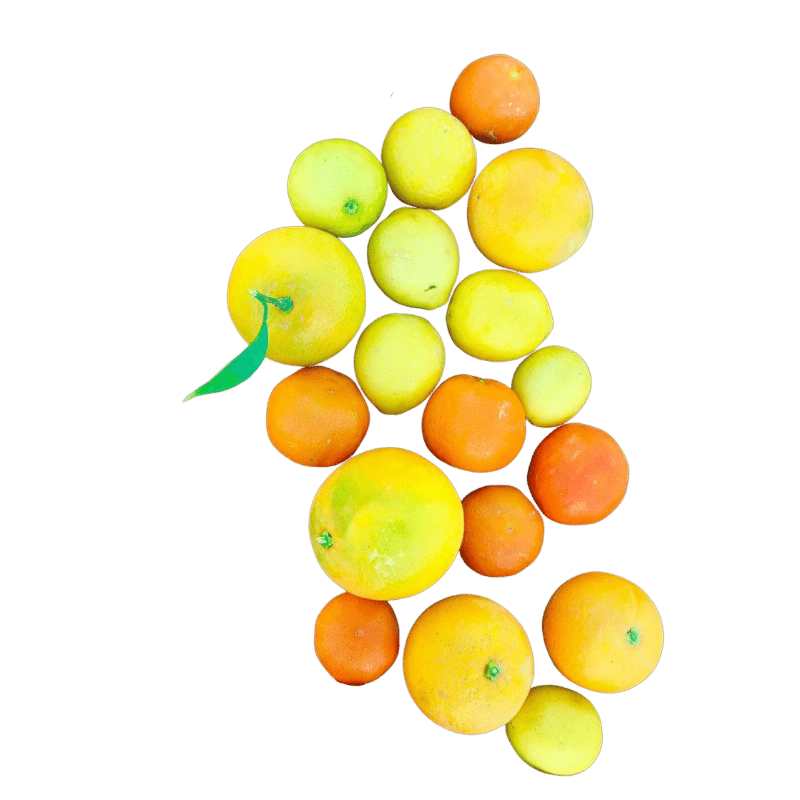 citroner och mandariner